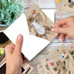 The Best Card Company - 10 Adorable Note Cards Blank (4 x 5.12 Inch) - Wildlife and Animal Cards, Assorted Boxed Kids Set - Sand Angels AM6844OCB-B1x10 - Image 6